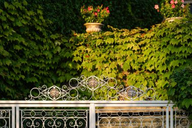 Bereketli sarmaşık ve yeşillik ile çevrili dekoratif metal kapı, yumuşak akşam ışığı ile aydınlatılmış. Bitkileri olan taş ekiciler sahneye büyüleyici bir dokunuş katıyor.