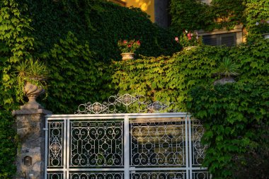 Bereketli sarmaşık ve yeşillik ile çevrili dekoratif metal kapı, yumuşak akşam ışığı ile aydınlatılmış. Bitkileri olan taş ekiciler sahneye büyüleyici bir dokunuş katıyor.