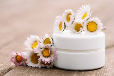 Kolajen kremini cam kavanoza koy ve tahta yüzeyinde papatyalar olsun. Deri ve vücut bakımı ürünleri. Modelleme. Kozmetik ambalajlama, krem nemlendirici.