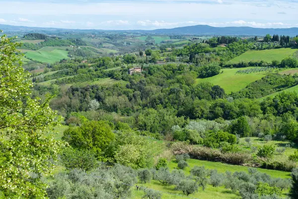 Toscana 'nın panoramik ve güzel kırsal manzarası. İtalya 'da yeşil tarlalar ve çayırlar.