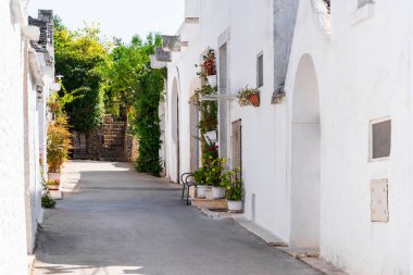 İtalya 'nın Alberobello şehrinde duvarları boyayan beyaz boyalı evleri ve saksı bitkileri olan huzurlu dar bir cadde. Yeşil bitkiler ve çiçekler, temiz beyaz cephelerle çok güzel zıtlaşırlar.
