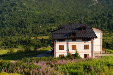 Passo Tonale, İtalya - 10.08.2024: Dağlık alanda kır evleri ve kır çiçekleriyle sakin bir dağ inzivası.