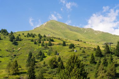 Passo Tonale, İtalya - 10.08.2024: Yeşil tepeli manzaralı dağ manzarası.