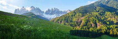 İtalya 'nın Dolomites kentindeki Eğlence Vadisi yakınlarında ilkbahar panoramalarında karlı zirveleri ve yemyeşil ormanları olan görkemli dağ manzarası..