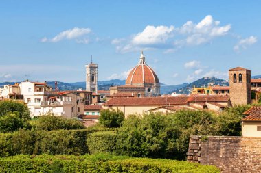 Floransa, İtalya - 30 Ağustos 2022: Floransa 'nın panoramik manzarası ikonik katedral kubbesi ve çevresindeki çatı ve yeşillikler ile çevrili çan kulesi