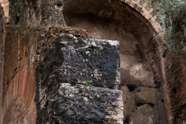 Roma, İtalya - 09.12.2022: Tarihi Colosseum ortamında yıpranmış dokuları ve yosunlu detaylara sahip antik taş yapı.