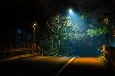 Gece köprüye ışık tutarken, arka planda ağaçlar vardı.