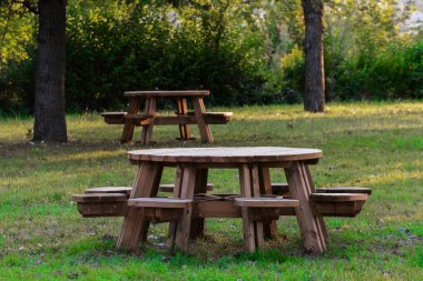 Ağaçlarla çevrili çimenli bir parkta kurulmuş yuvarlak ahşap piknik masaları dışarıda huzurlu bir ortam yaratıyor. Boş zaman ve doğa temaları için mükemmel.