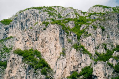 Yeşil bitki örtüsüyle kayalık dağ manzarasını kapat