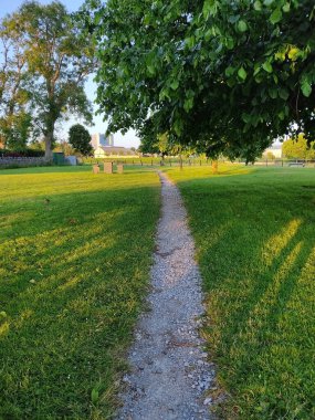 Path in a park with green grass and trees in the background.