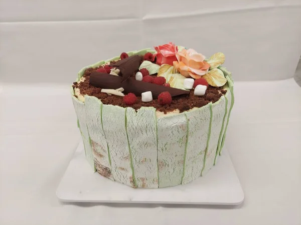 chocolate mint cake in white background