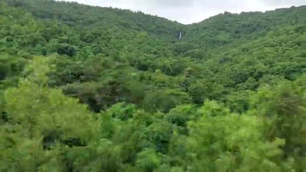 Ormanın Ortasında Bir Şelale Maharashtra Hindistan Manzarası — Stok video