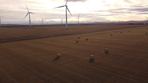 Aerial Windmills Hay Bales Overlooking Prairie Fields Distant Rocky Mountains — Stock Video