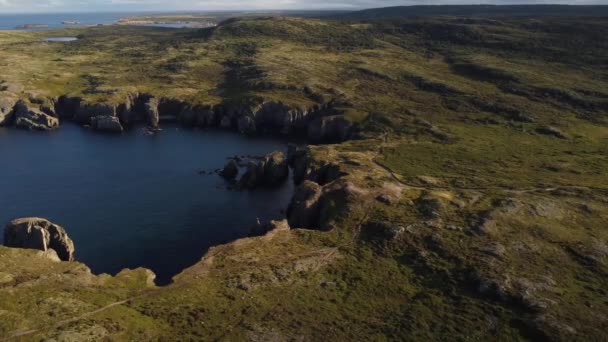 Aerial Cinematic Newfoundland Atlantic Coast Med Utsikt Över Höga Klippor — Stockvideo