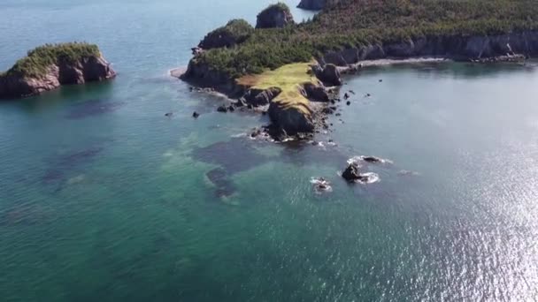 Aerial Chance Cove Cinematic View Hiking Trails Rocky Cliffs Newfoundland — Stock Video