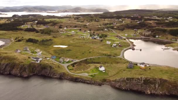 Widok Lotu Ptaka Oddaloną Społeczność Nowej Fundlandii Widokiem Skaliste Klify — Wideo stockowe