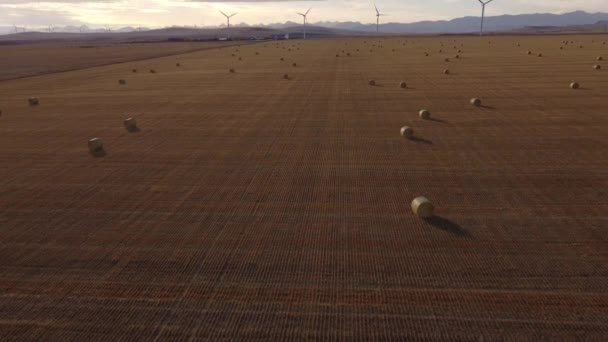 Campos Fazenda Aérea Com Fardos Feno Redondo Moinhos Vento Tiro — Vídeo de Stock