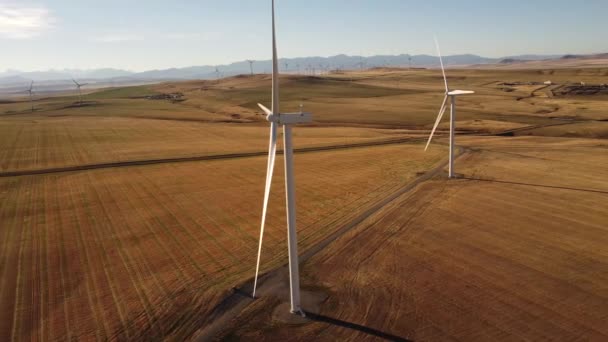 遠くカナダのロッキー山脈と砂利道で映画撮影をオンに航空風車 — ストック動画