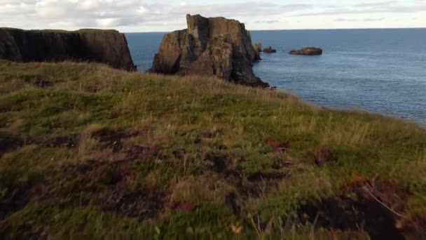 飞越悬崖飞往加拿大纽芬兰省大西洋海岸的岩石岛屿 — 图库视频影像