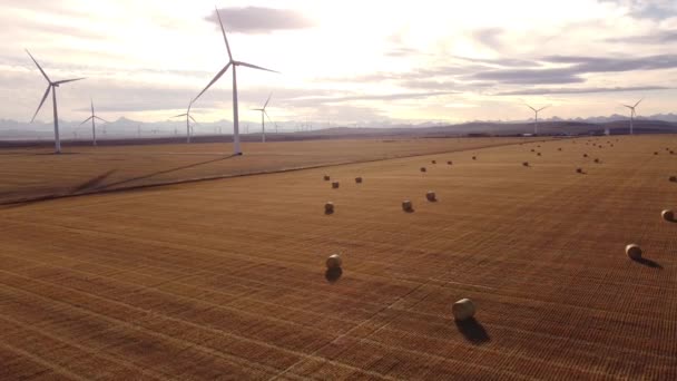 Aerial Windmills Producing Net Zero Emissions Overlooking Prairie Field Hay — Stock Video