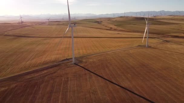 Parque Eólico Aéreo Alto Revelando Tiro Produzindo Energia Limpa Alberta — Vídeo de Stock