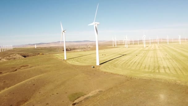 ピンチャー クリーク アルバータ州カナダ 2022年10月16日 草原地帯で純排出ゼロを生み出す風力発電所の空中ベスタ風力発電所 — ストック動画