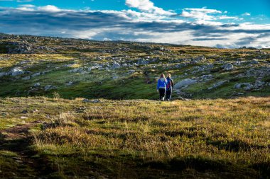 Anne ve kızı, Kanada 'nın Newfoundland bölgesindeki Klondike patikası boyunca yosunlu tundrada yürüyorlar..