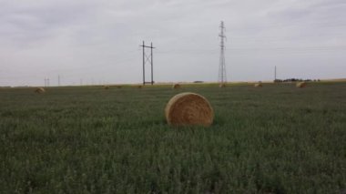 Aerial field of round hay bales with power lines and transmission towers at background on the Alberta prairies in Canada.