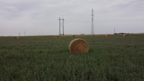 Aerial Field Hay Bales Power Lines Transmission Towers Background Alberta — Video
