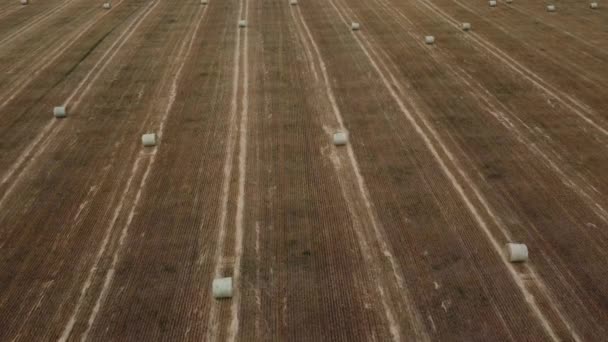 Aerial Hay Bales Harvested Field Rocky View County Alberta Canada — Stock videók