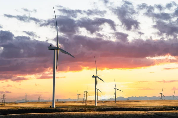 Windmills Sunset Producing Green Energy Overlooking Agriculture Wheat Fields Prairie Stock Picture