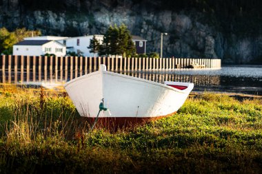 Placentia Newfoundland Kanada 'da uzak bir dalgakıranla çimenli bir kıyıda uzanan bir Doğu Kıyısı beyaz kayığı.