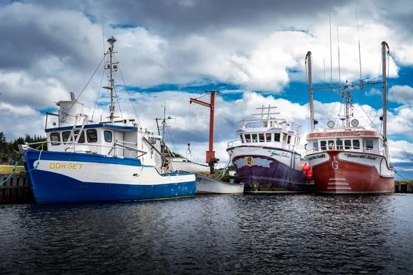 Port Union Newfoundland Canada Septiembre 2022 Barcos Pesqueros Estacionados Muelle —  Fotos de Stock