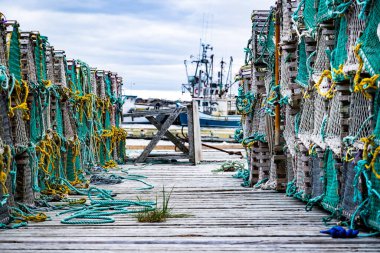 Whiteway Newfoundland Kanada 'da balıkçı teknelerinin bulunduğu limana bakan renkli iplerle dolu eski bir rıhtımda sıralanmış tahta ıstakoz tuzakları. 