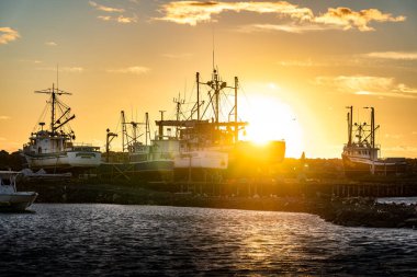 Bonavista Newfoundland Kanada, 23 Eylül 2022: Doğu kıyısındaki küçük bir kasabada gün batımı silüet balıkçı tekneleri.