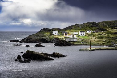 Doğu kıyısındaki evler, Atlantik Kanada Newfoundland 'daki ahşap rıhtımlı kayaların arasında duruyor.