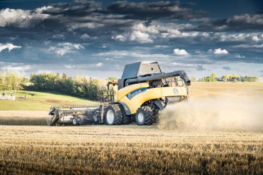 Cremona Alberta Kanada, 10 Eylül 2023: Bir arpa tarlası hasat eden bir New Holland, Kanada ovalarında dramatik bir günbatımı gökyüzü altında toz bulutu oluşturuyor..