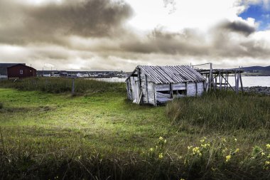 Bonavista Newfoundland Kanada 'daki Atlantik Okyanusu' na bakan yeşil bir gaz tarlasında morina balığı kurutma rafı..