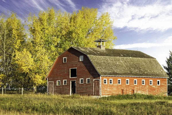Rocky View County Alberta Canada 'da sonbahar renklerinde ağaçlarla dolu yemyeşil bir tarlada kırmızı bir ahır..