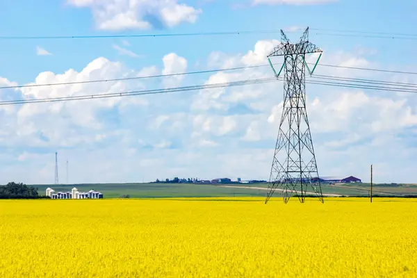 stock image Electrical pylon overlooking blooming yellow canola field near a country road in Rocky View County Alberta Canada.