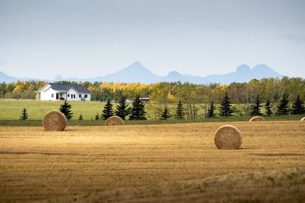 stock image Round hay bales on a harvested field overlooking a farmhouse and Rocky Mountains during autumn near Cochrane Alberta Canada.