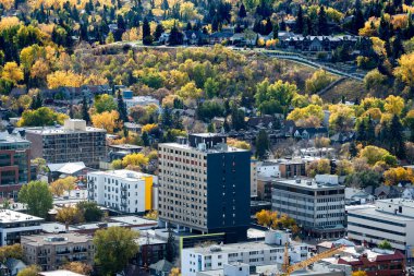 Calgary Alberta Canada, 12 Ekim 2024: Sonbahar şehir manzarası manzarası ve sonbaharda ağaçlarla kaplı caddelere bakan çok sayıda apartman ve konut manzarası