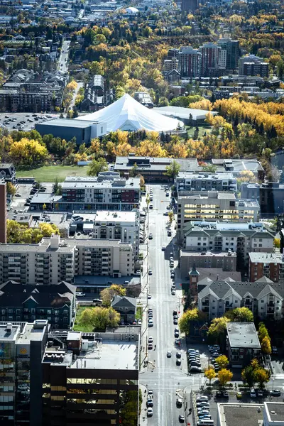 Sonbahar şehir manzarası, sonbaharda Lindsay Park ve Calgary Alberta Kanada 'daki MNP Spor Merkezi' ne bakan ağaçlarla dolu şehir sokaklarını gösteriyor..