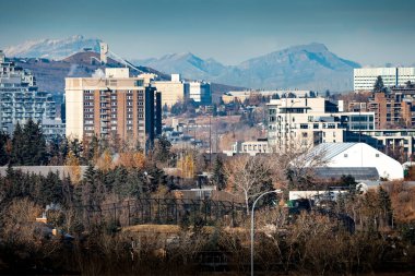 Calgary Alberta Canada, 30 Ekim 2024: Calgary City gökdelenlerine bakan gökdeleni ve Kanada kayalıkları ve arka planda kayak atlama yapılan yerleşim alanları.