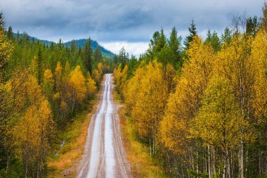 Ormandan geçen yol, Dalarna, İsveç