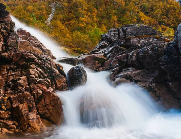 Kleiner Wasserfall Vor Wald — Stockfoto
