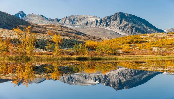 Отражение Гор Деревьев Осеннем Пейзаже Норвегия — стоковое фото