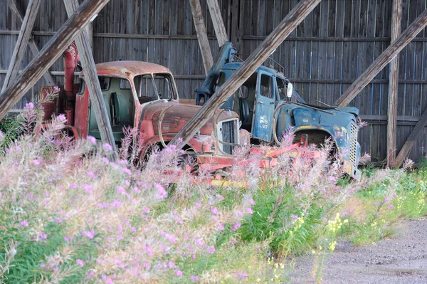 Rusty Truck Carriages Abandoned Barn — Stock Photo, Image