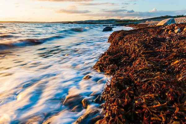 Волны Разбиваются Пляже Швеция — стоковое фото