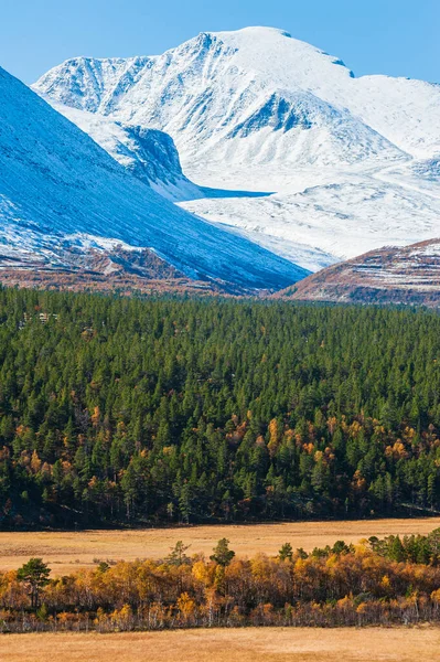 stock image Trees in front of snowcovered mountain landscape